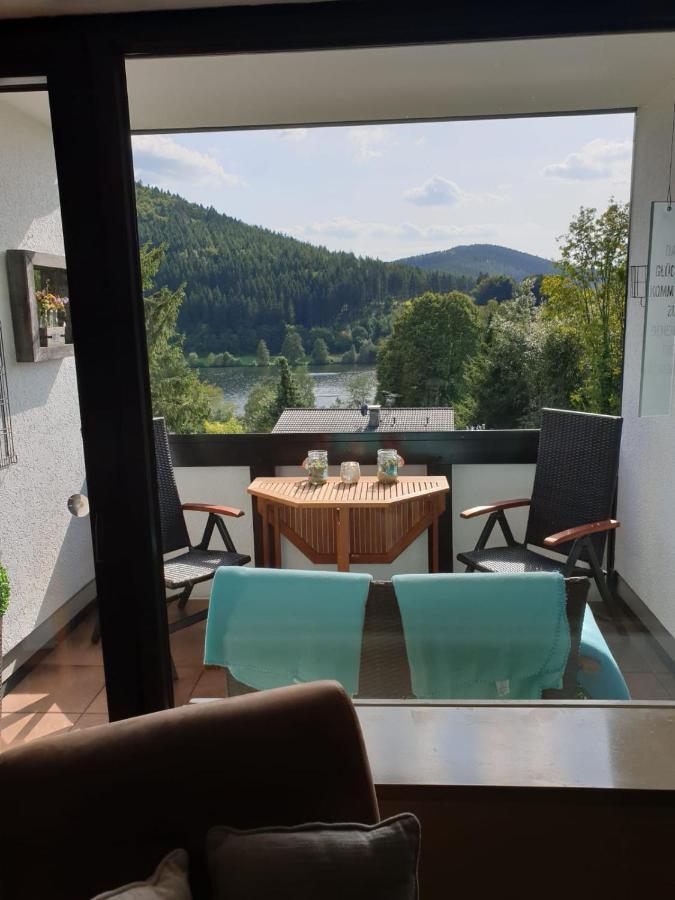 Ferienwohnung Zeitlos, Gigantischer Seeblick, Wlan, Gerne Mit Hund Winterberg Exteriér fotografie
