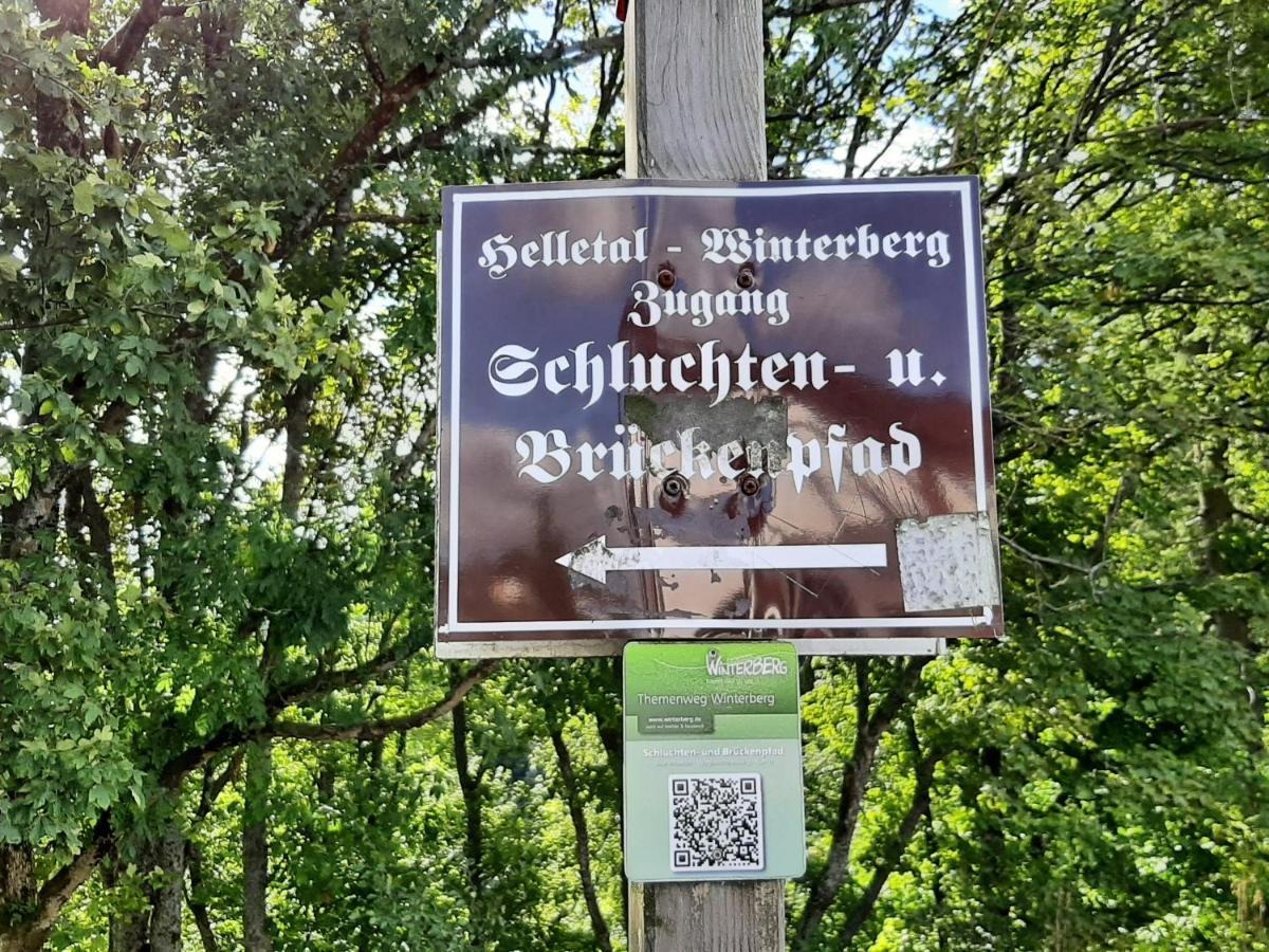 Ferienwohnung Zeitlos, Gigantischer Seeblick, Wlan, Gerne Mit Hund Winterberg Exteriér fotografie